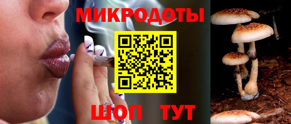 Псилоцибиновые грибы Psilocybine cubensis Мичуринск