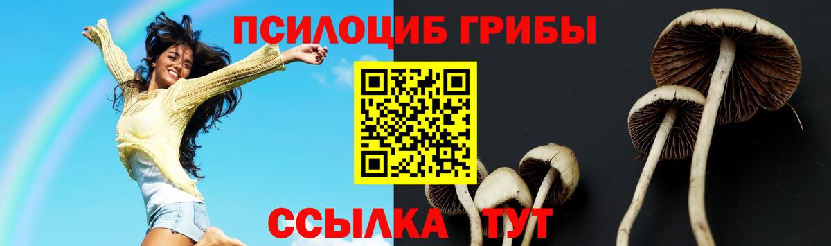 Мичуринск  Псилоцибиновые грибы Cubensis  Вход с VPN 